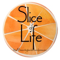 WRITE a slice of life story on your own blog. SHARE a link to your post in the comments section. GIVE comments to at least three other SOLSC bloggers.
