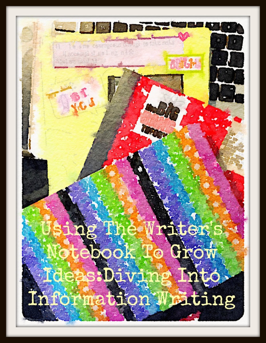 Using The Writer's Notebook To Grow Ideas:Diving Into Information Writing